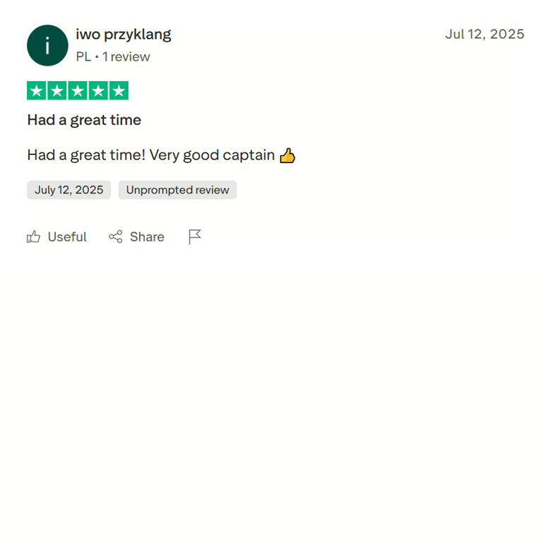 Google_Trustpilot_reviews_006